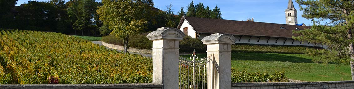 Domaine P et M Jacqueson | Rully