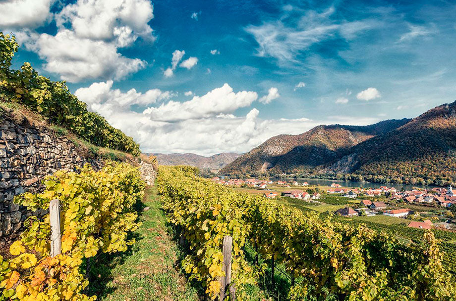 Rudi Pichler | Wachau