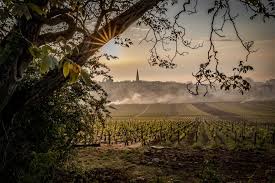 Domaine Bernard Millot | Mersault