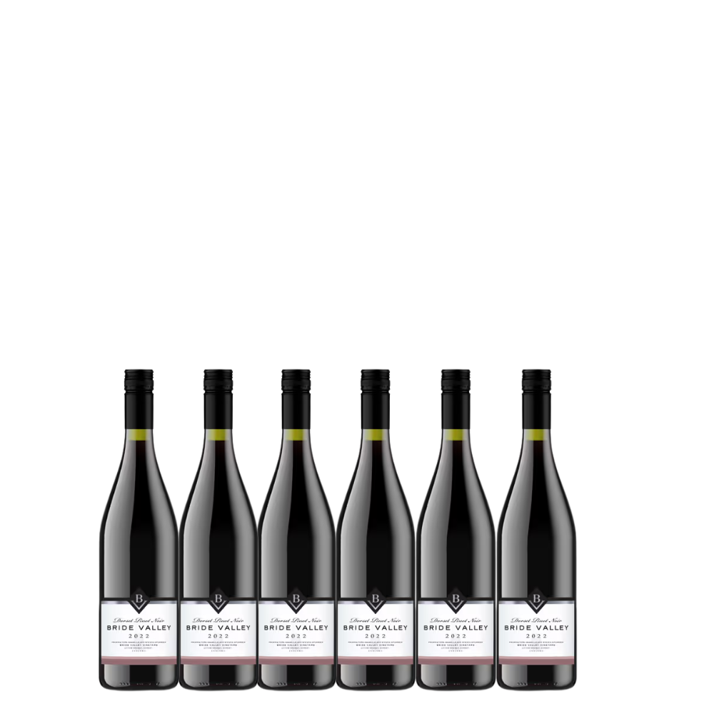 2022 Bride Valley Vineyard Pinot Noir England | Half case