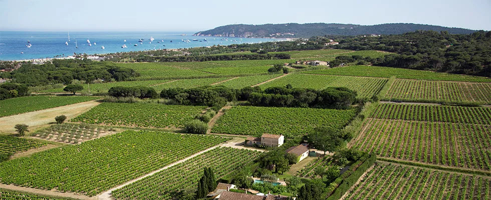 Maitres Vignerons de St-Tropez | Provence