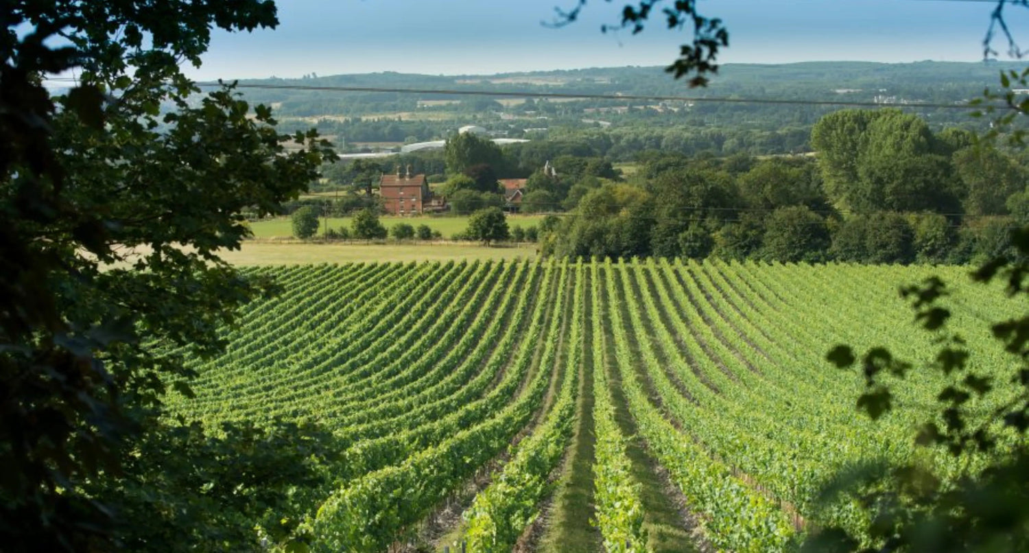 English Sparkling Wine