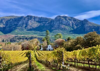 Buitenverwachting Wine Estate | Western Cape