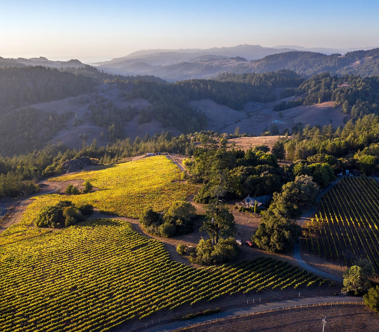 Cobb Winery | Sonoma County