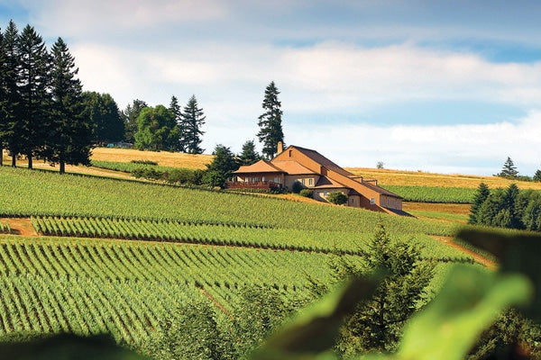 Vineyards A-D