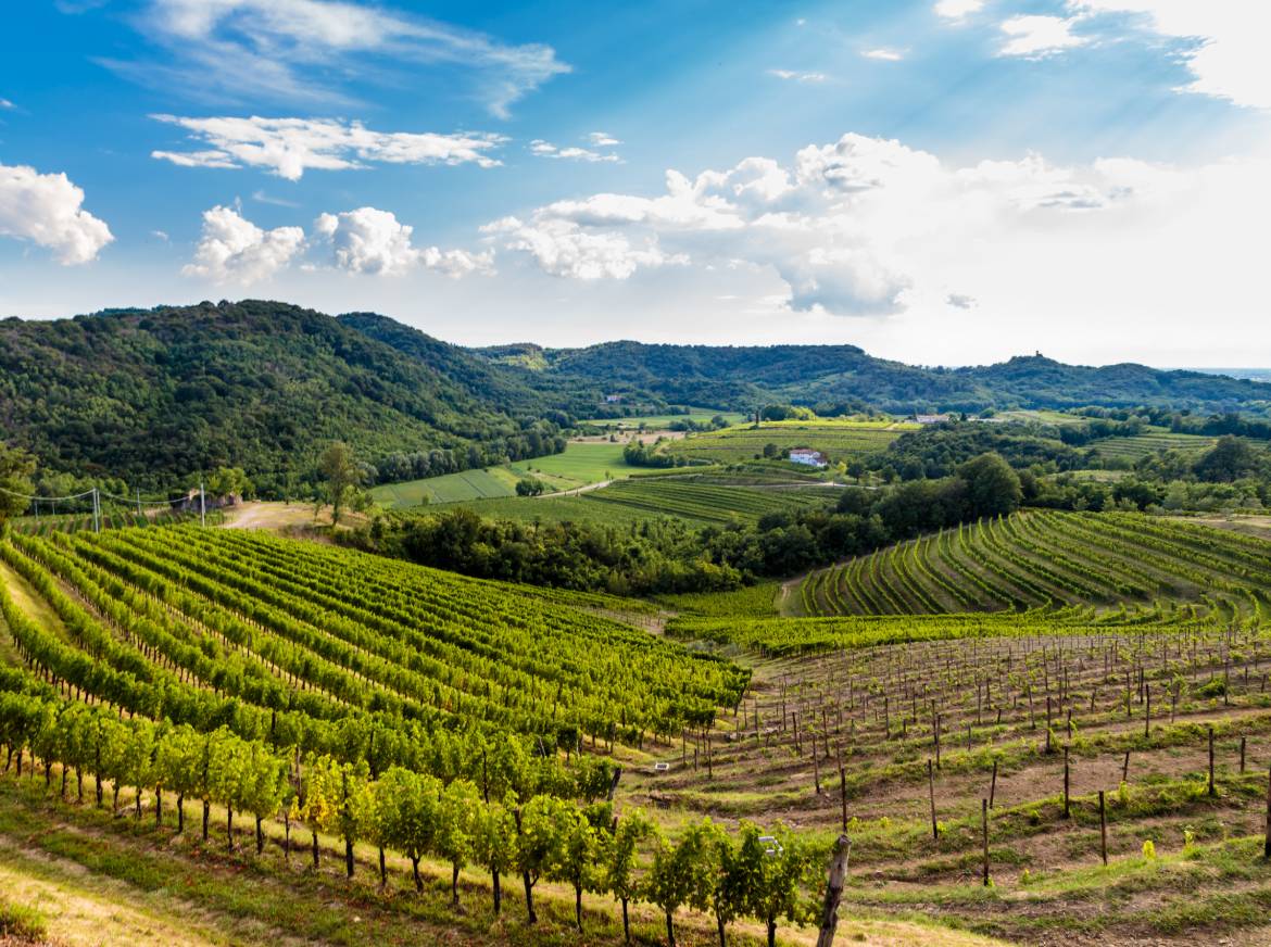 Friuli-Venezia Giulia | Italy