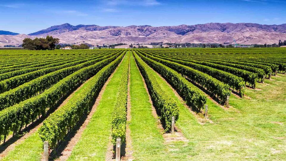 New Zealand