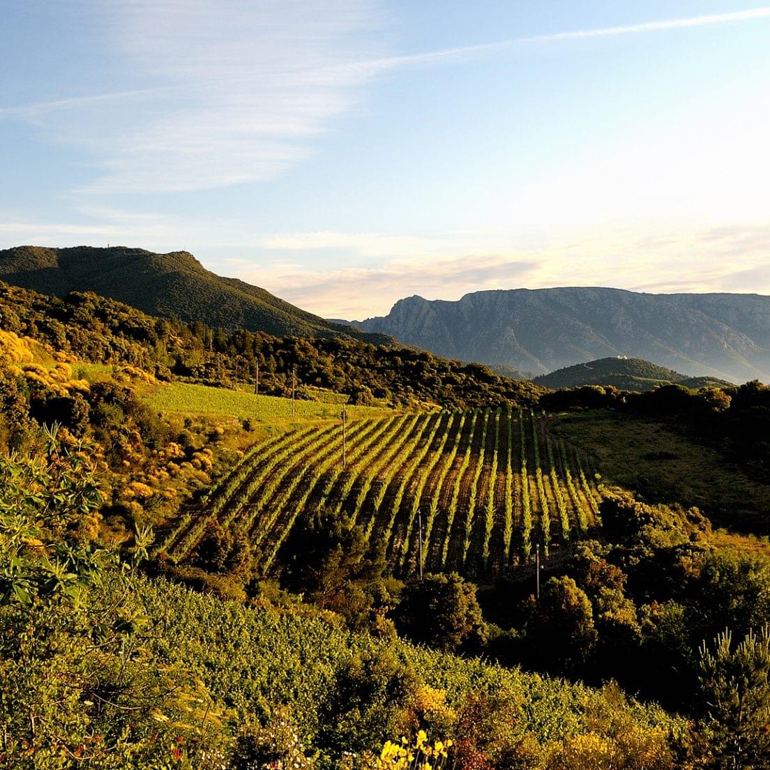 Languedoc-Roussillon | France