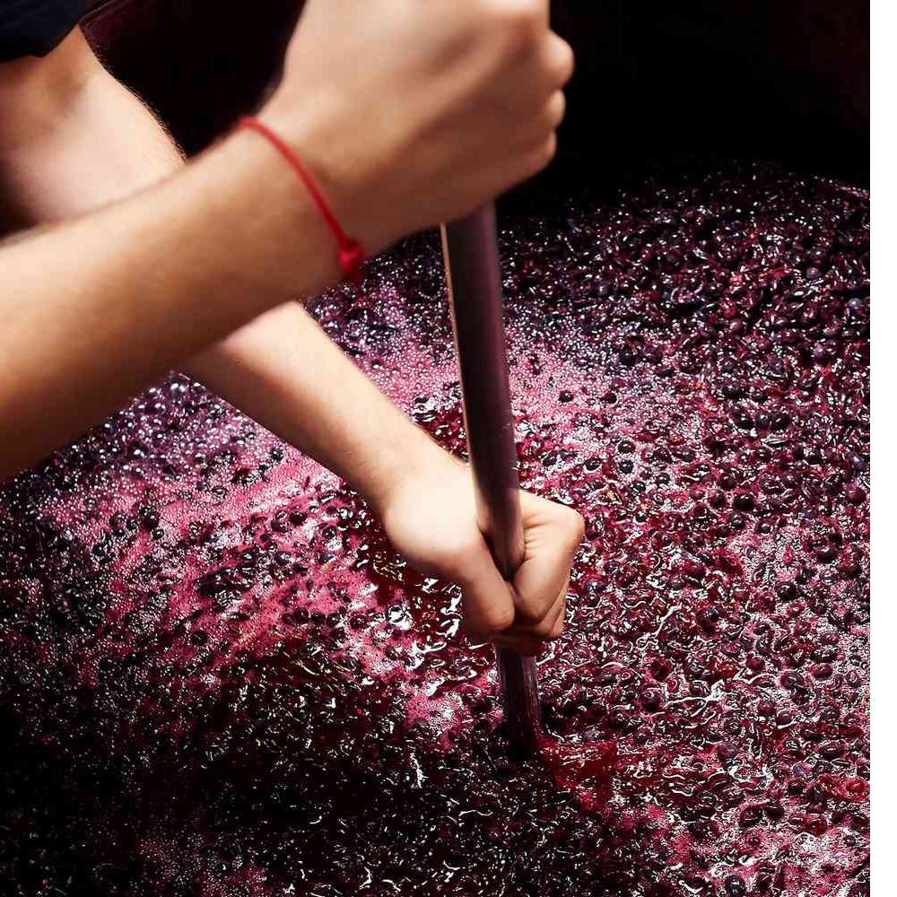 Natural/Orange wine