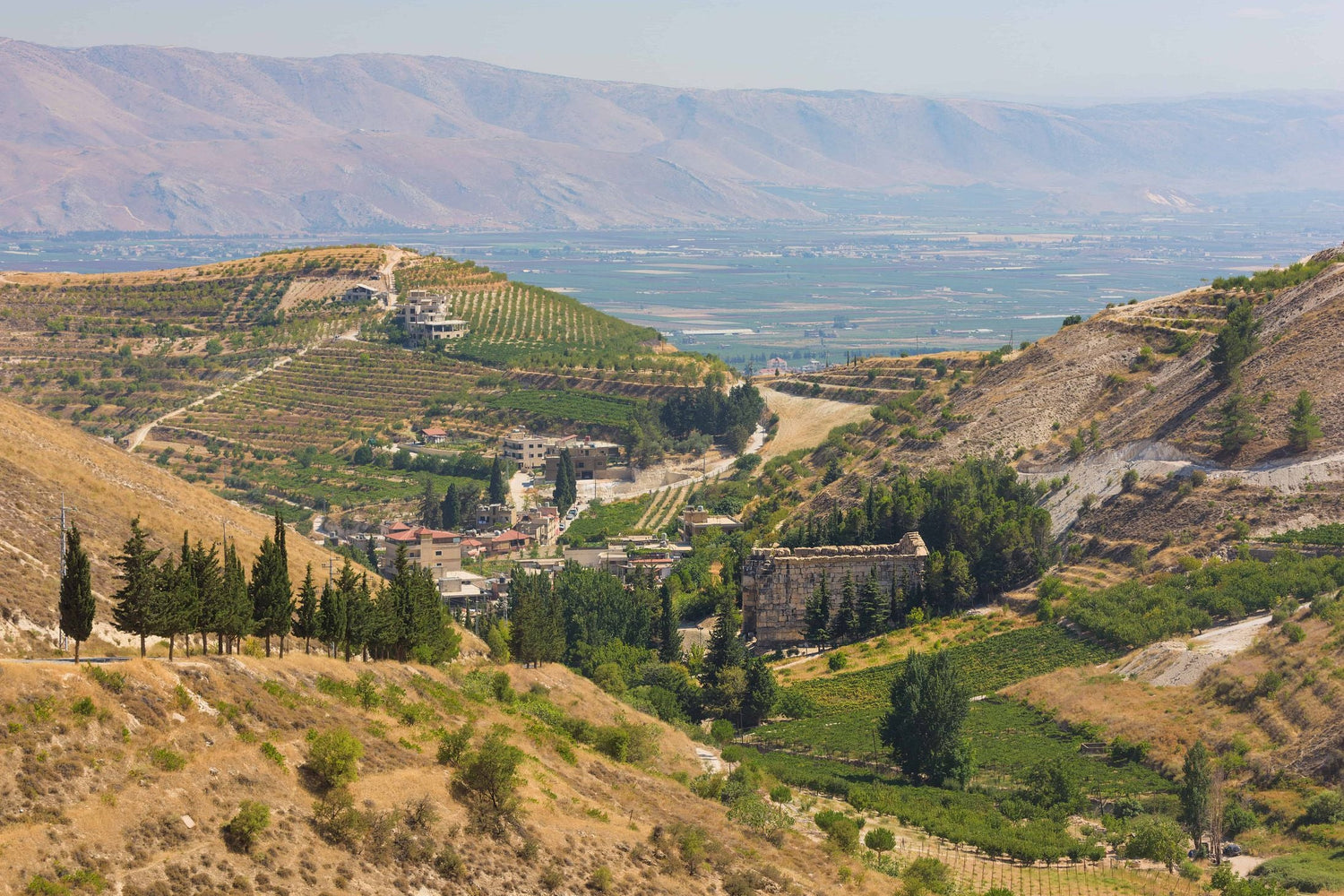 Bekaa Valley | Lebanon