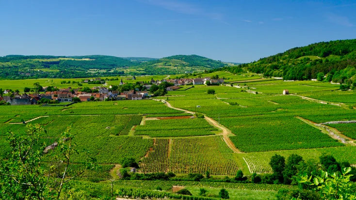 Village of Chassagne-Montrachet 