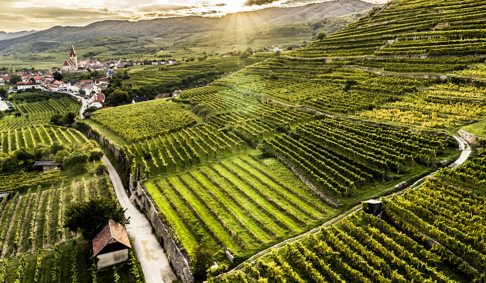 Wachau | Austria