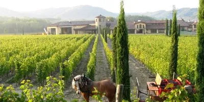 Jermann | Friuli Venezia Giulia