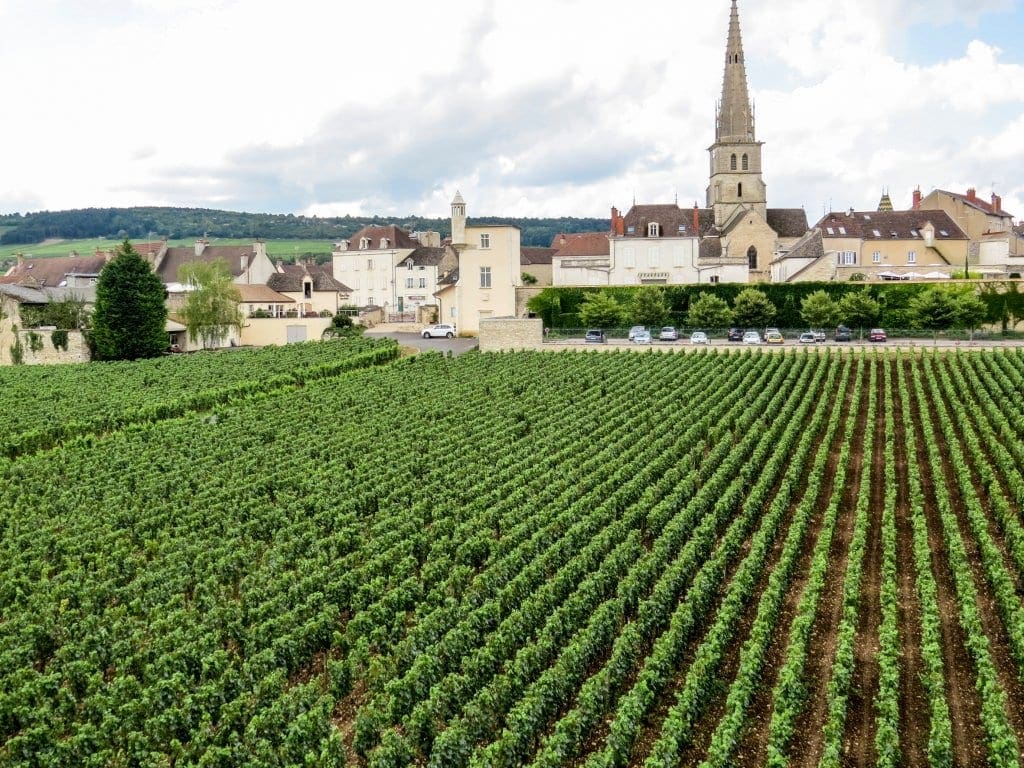 Burgundy | France