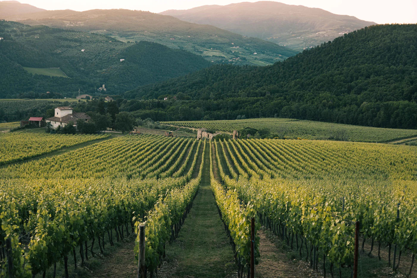 Radio-Coteau | Sonoma County