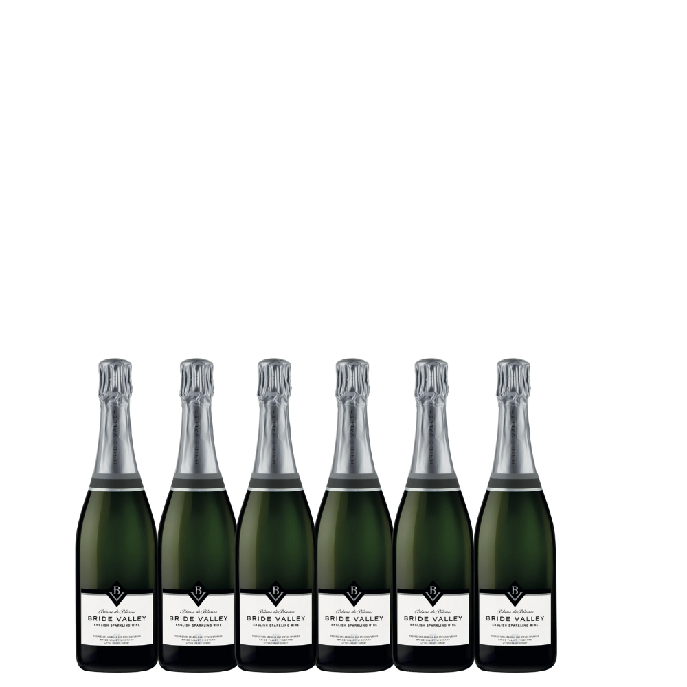 2018 Bride Valley Vineyard Blanc de Blancs England | Half case
